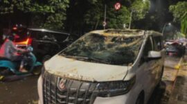 Alphard Remuk Tertimpa Pohon di Dharmawangsa: Sopir Selamat!