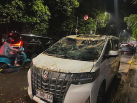 Alphard Remuk Tertimpa Pohon di Dharmawangsa: Sopir Selamat!