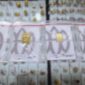 Harga Emas Hari Ini: Antam Turun, Galeri24 Justru Meroket!