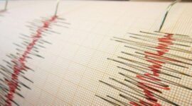 Gempa Sarmi Papua: Waspada 51 Gempa Susulan!