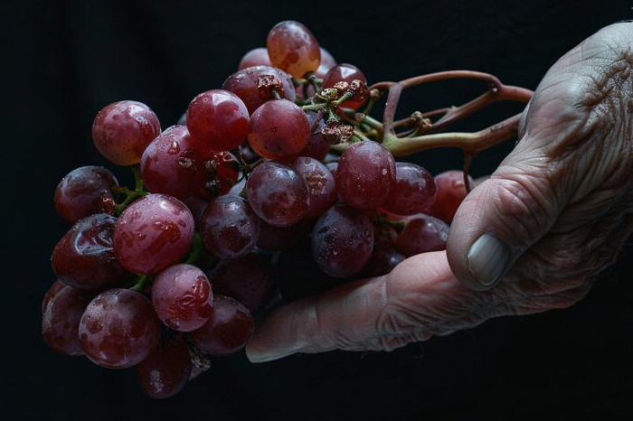 8 Sayuran dan Buah Ungu Kaya Antioksidan untuk Penderita Diabetes (Freepik)