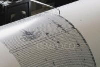 Sarmi Papua Diguncang 120 Gempa Susulan, BMKG Ungkap Pemicunya!