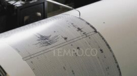 Sarmi Papua Diguncang 120 Gempa Susulan, BMKG Ungkap Pemicunya!