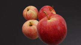 Apel (Freepik)