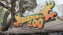 Pemkot Bandung Mediasi Sengketa Yayasan demi Kelangsungan Bandung Zoo