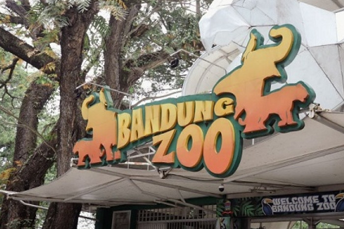 Pemkot Bandung Mediasi Sengketa Yayasan demi Kelangsungan Bandung Zoo
