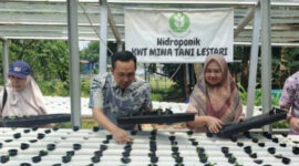 Pemkot Tangerang Dorong Kemandirian Pangan Lewat Bantuan Urban Farming
