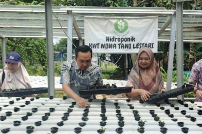 Pemkot Tangerang Dorong Kemandirian Pangan Lewat Bantuan Urban Farming