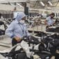 Strategi Menperin Agus Gumiwang Pacu Industri Tekstil Nasional