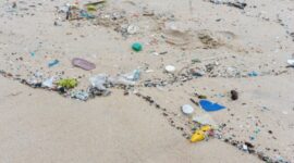 Mikroplastik Hantui Air Hujan Jakarta, DKI Siapkan Jurus Ampuh