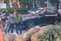 Tragis! Pohon Tumbang Renggut Nyawa Pengemudi Lexus di Pondok Indah