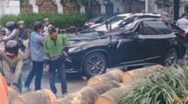Tragis! Pohon Tumbang Renggut Nyawa Pengemudi Lexus di Pondok Indah
