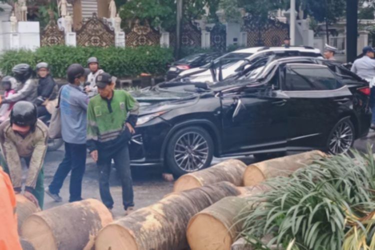 Tragis! Pohon Tumbang Renggut Nyawa Pengemudi Lexus di Pondok Indah