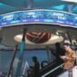 Window Dressing Mengintai? Peluang dan Risiko IHSG Bulan Ini